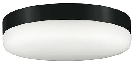 Kasai