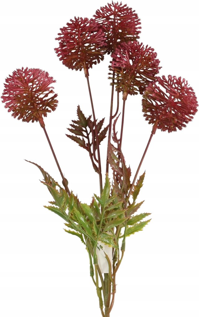 Fokhagyma ág x5 málna