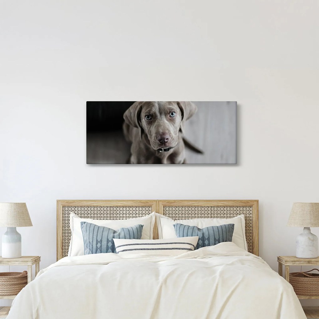 Kiskutya képe (120x50 cm)