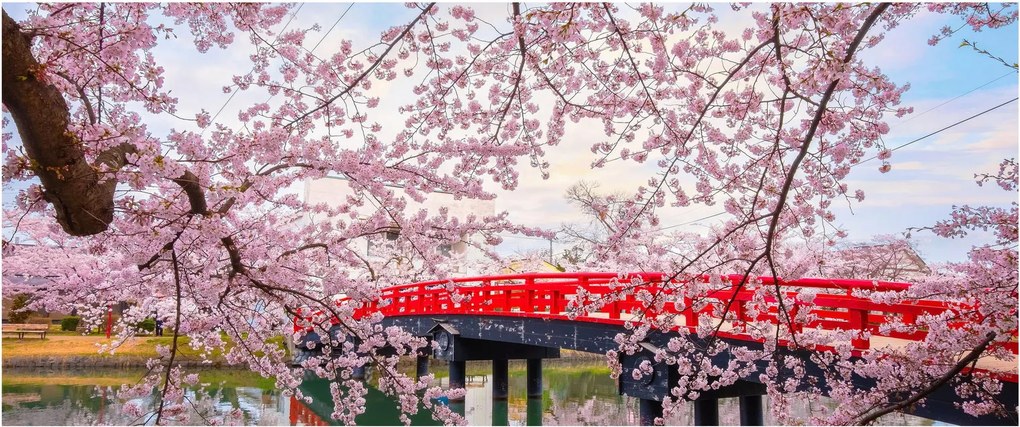 Kép - Hirosaki, Japán (120x50 cm)
