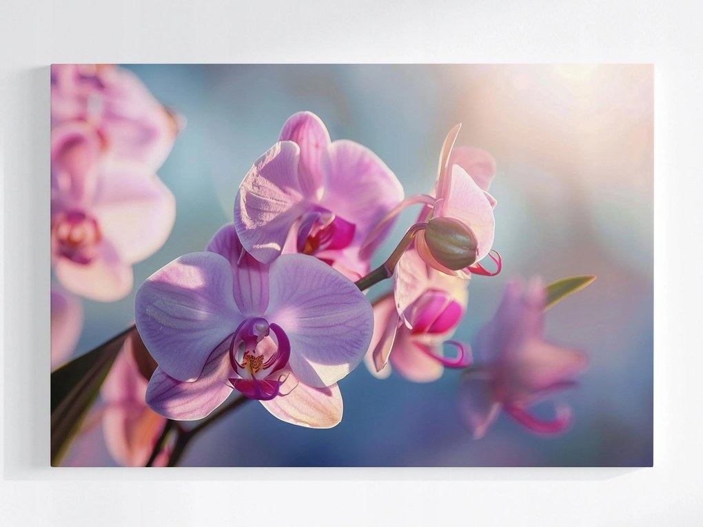 Vászonkép Canvas Zen Virág Orchidea Természet 120x80