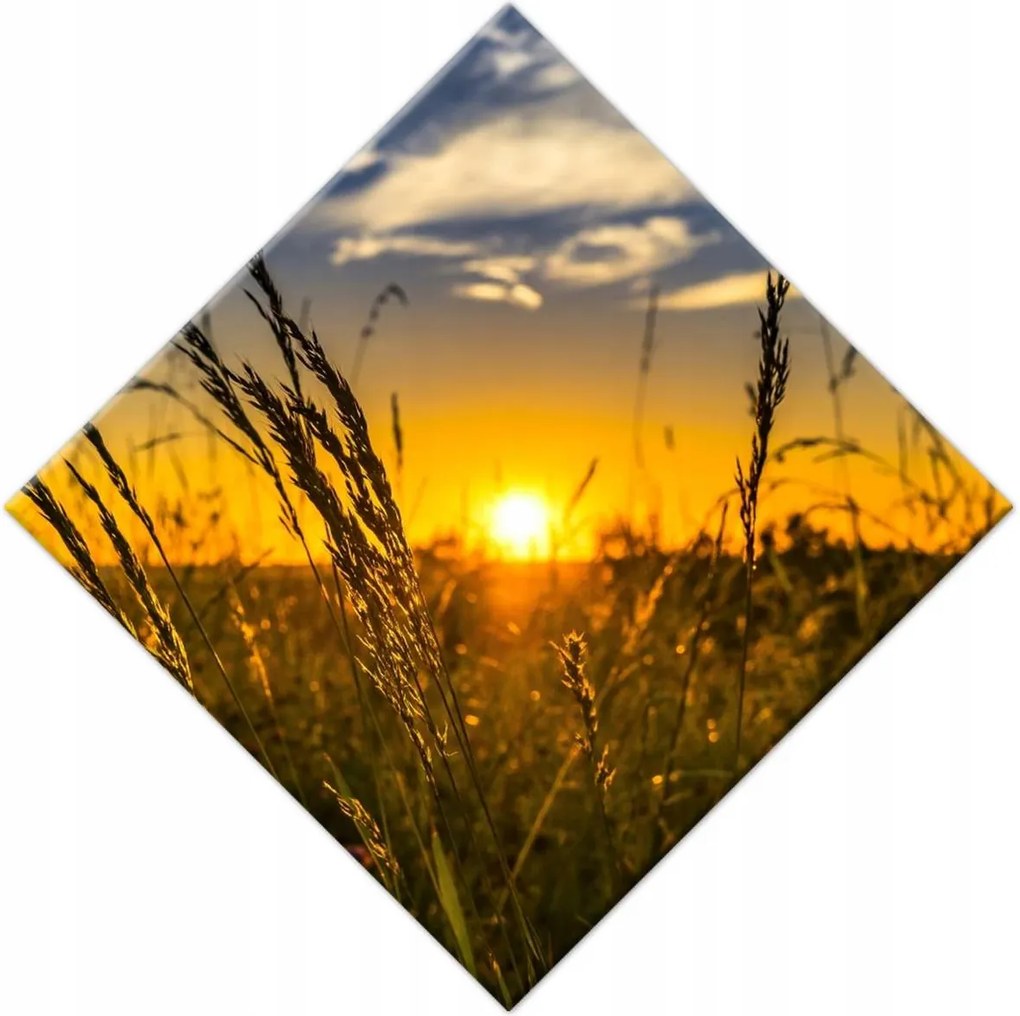 Vászonkép 42x42 Naplemente a füvek között