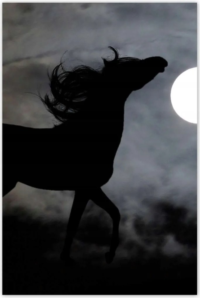 Poszterek 80x120 Éjszakai paripa