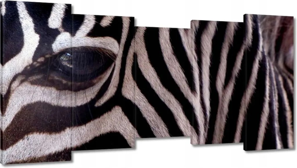 Festmények 150x80 Makro fotó zebra