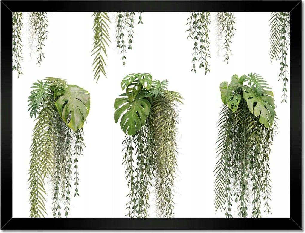 Poszter keretben 40x30 Monstera lyukas levelek