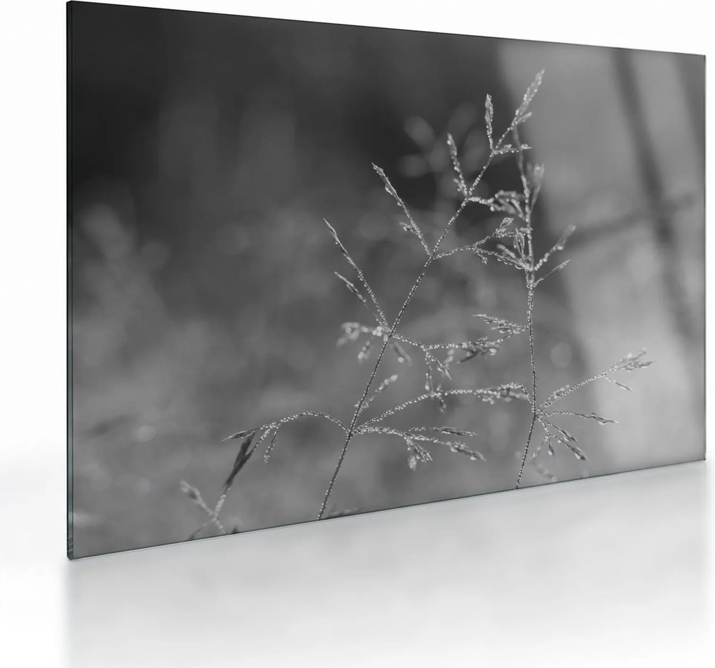 Üveg kép - Vidéki rét (70x50 cm)