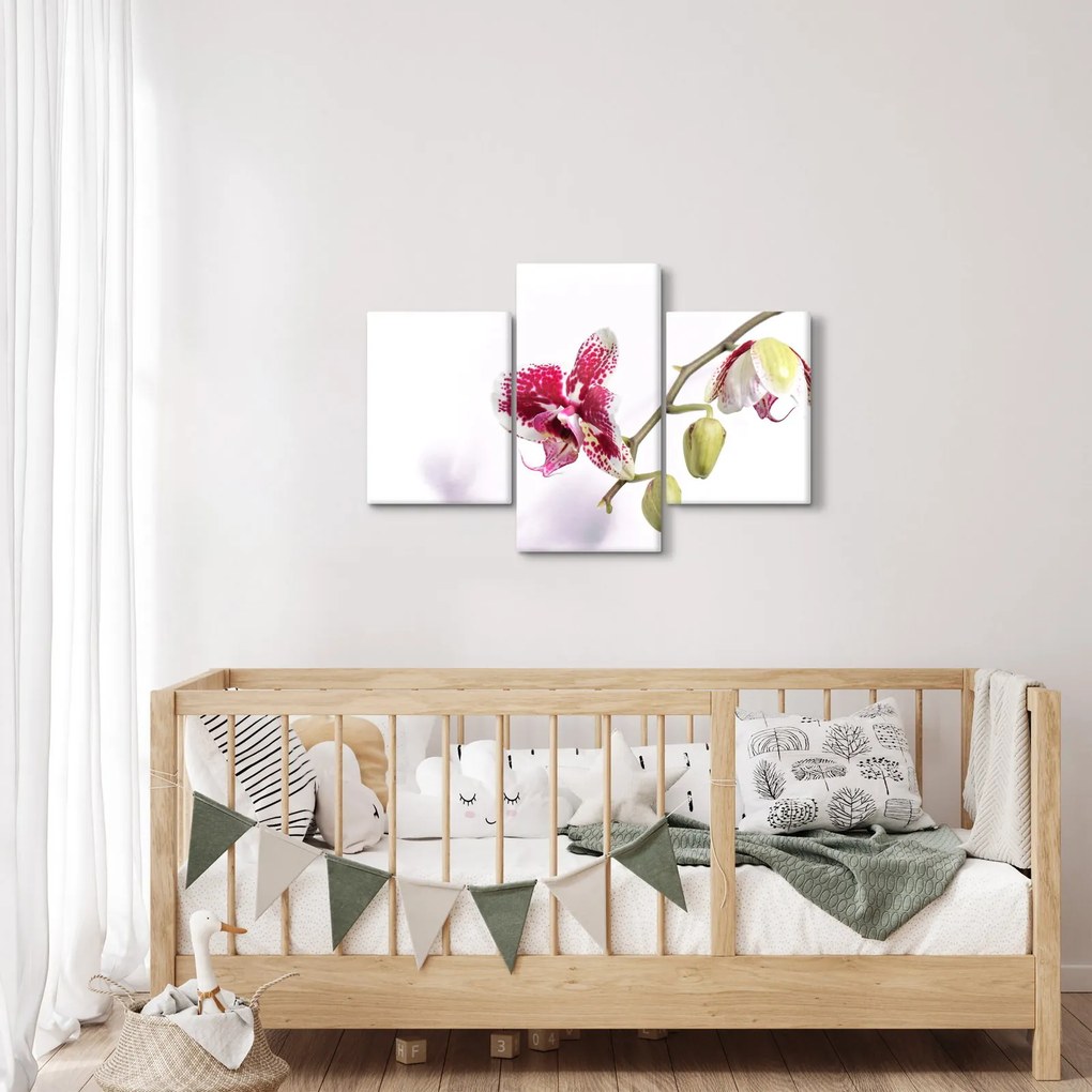 Orchidea virág képe (90x60 cm)