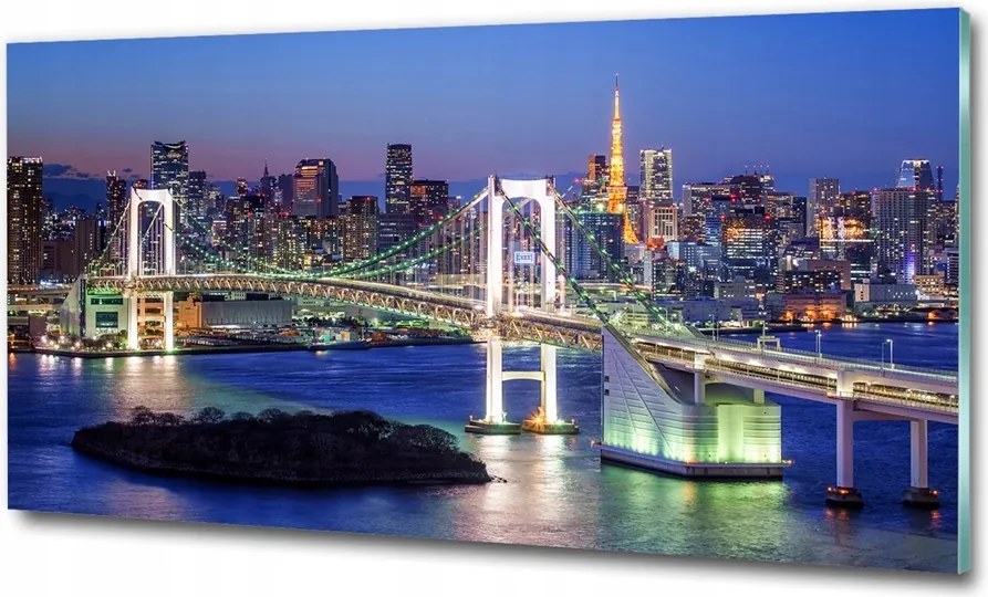 Fotó kép edzett üveg Akvárium alagút 100x70