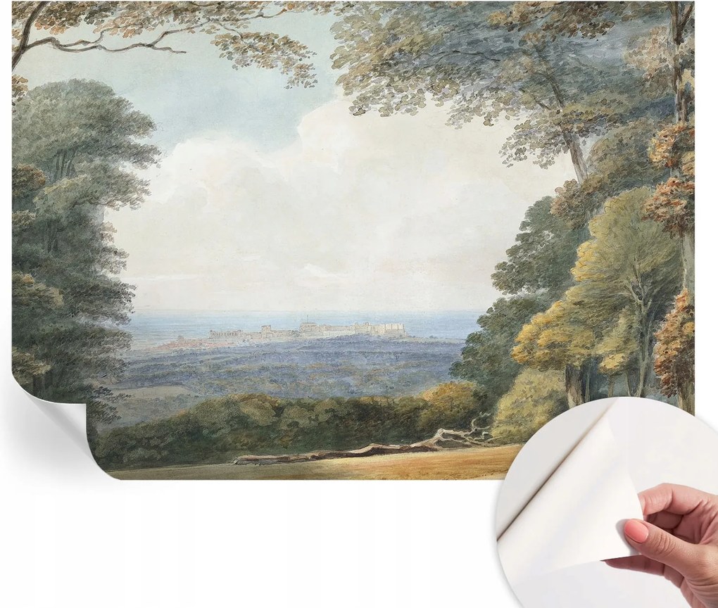 Fotótapéta Öntapadós tapéta a szobába Erdő táj 312x219 cm