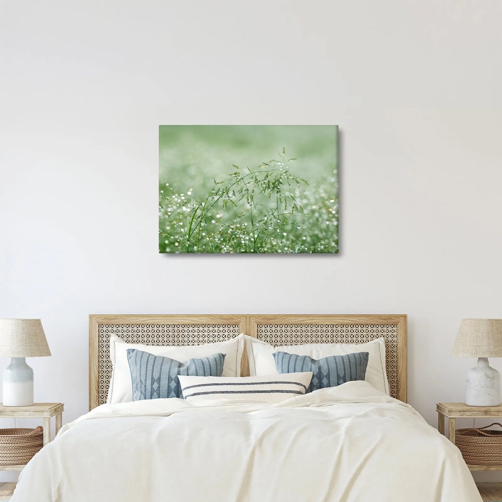 Kép - Reggeli harmat a fűszálakon (70x50 cm)