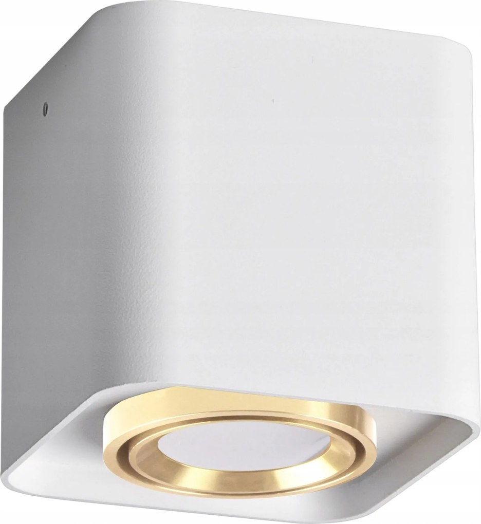 Falra szerelhető halogén lámpatest Spot GU10 fehér Xeno Sanico Goldlux