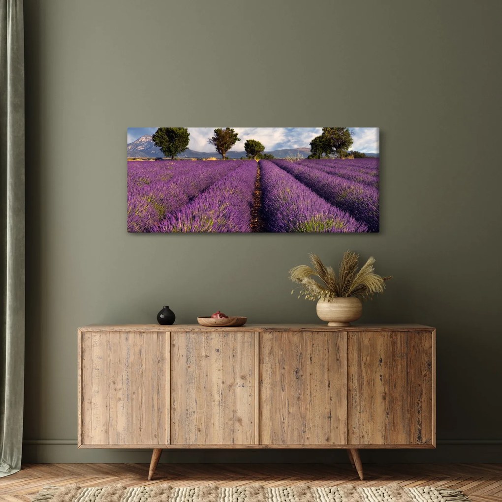 Kép - Levendula mező és hegyek (120x50 cm)