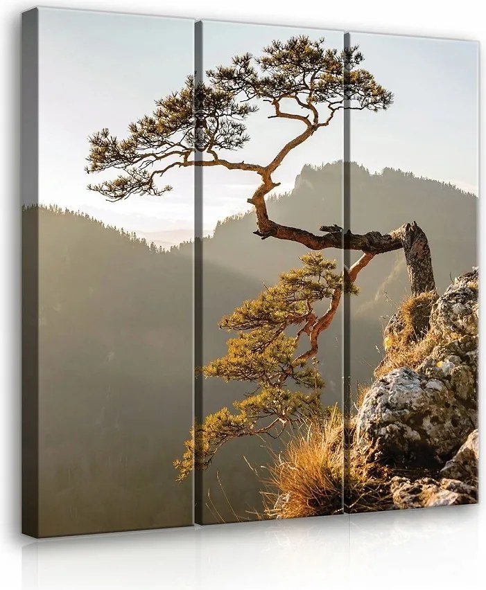 Vászonkép 90x100 Fenyő szikla hegyek természet tartósság örökkévaló nyugalom