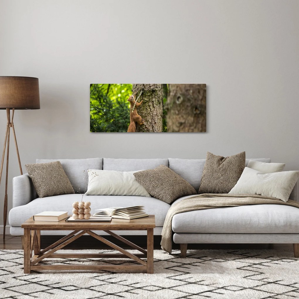 Kép - Mókus (120x50 cm)