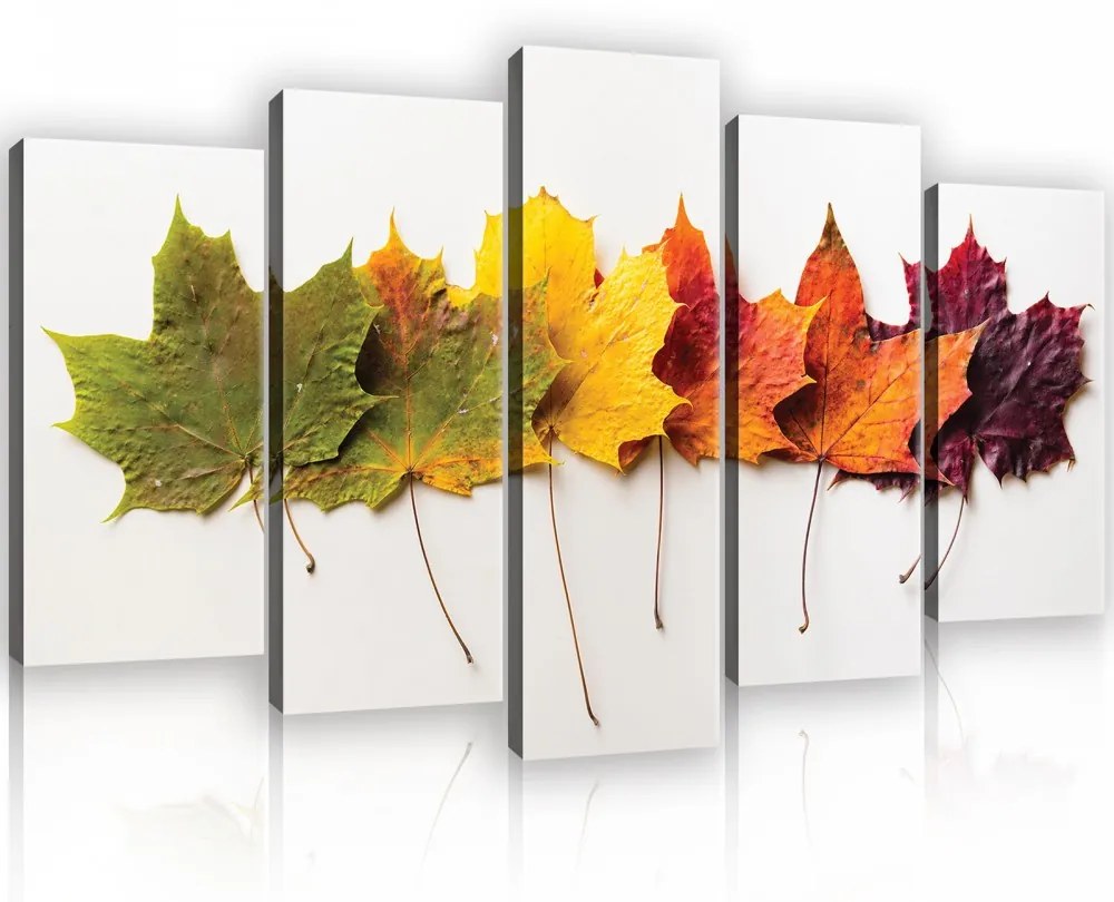 Vászonkép 5 darabos, Tölgyfa levelek őszi színekben 100x60 cm méretben