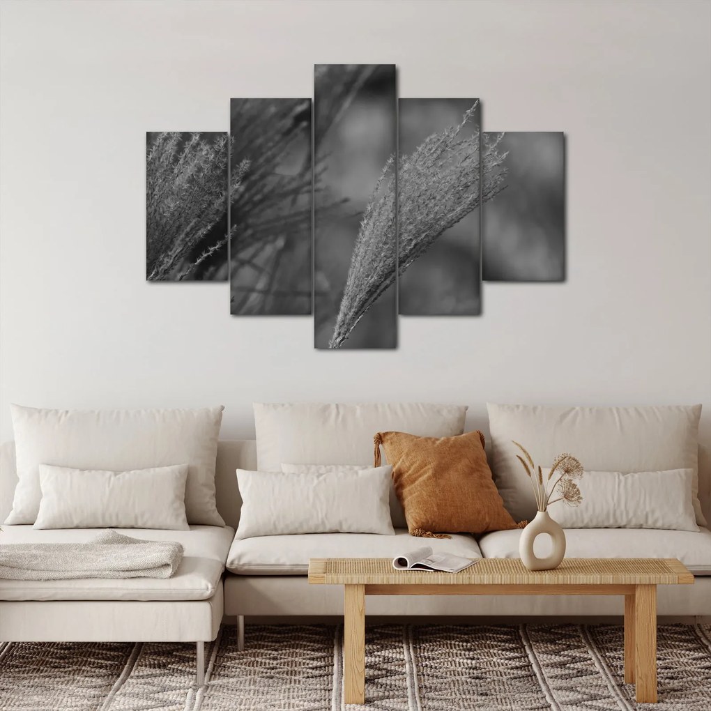 Kép - Szárított pampafű (150x105 cm)