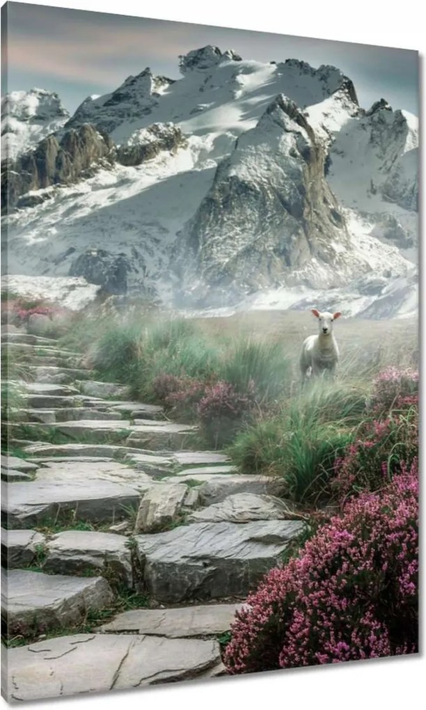 Vászonkép 70x100 Hegyi kilátás Tájkép Köd