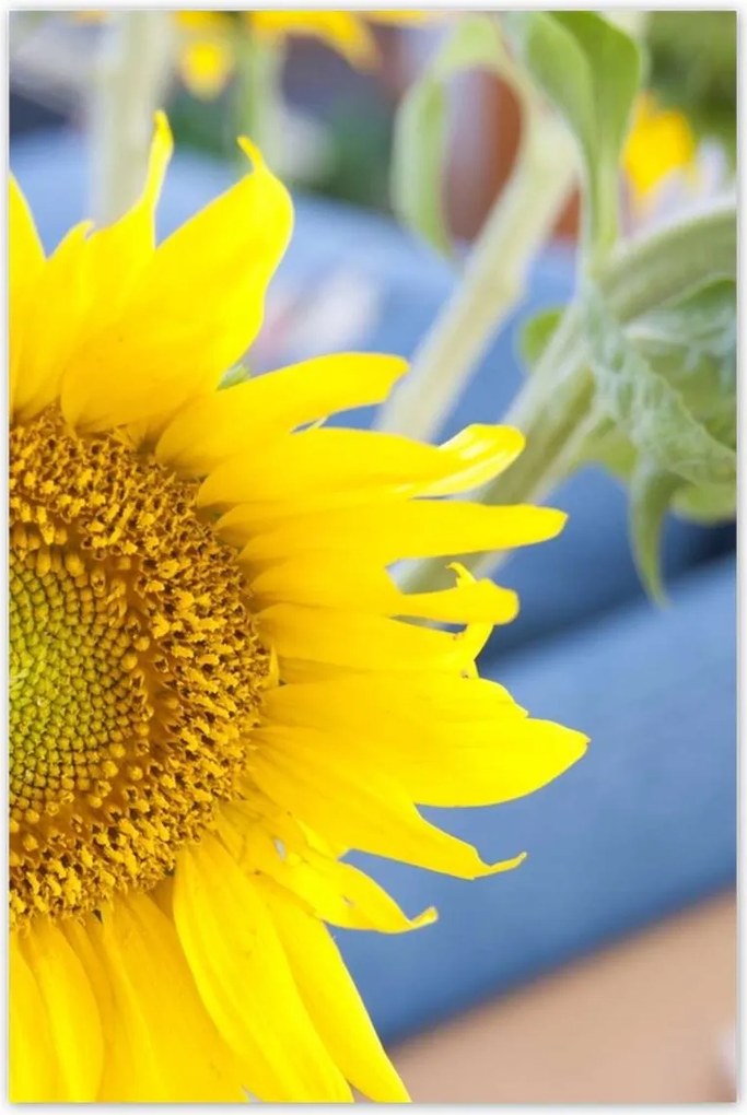 Poszterek 80x120 Nőnap Ajándék Love