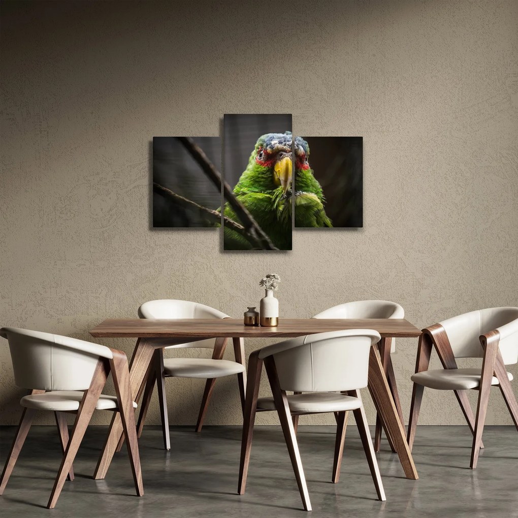 Papagáj képe (90x60 cm)