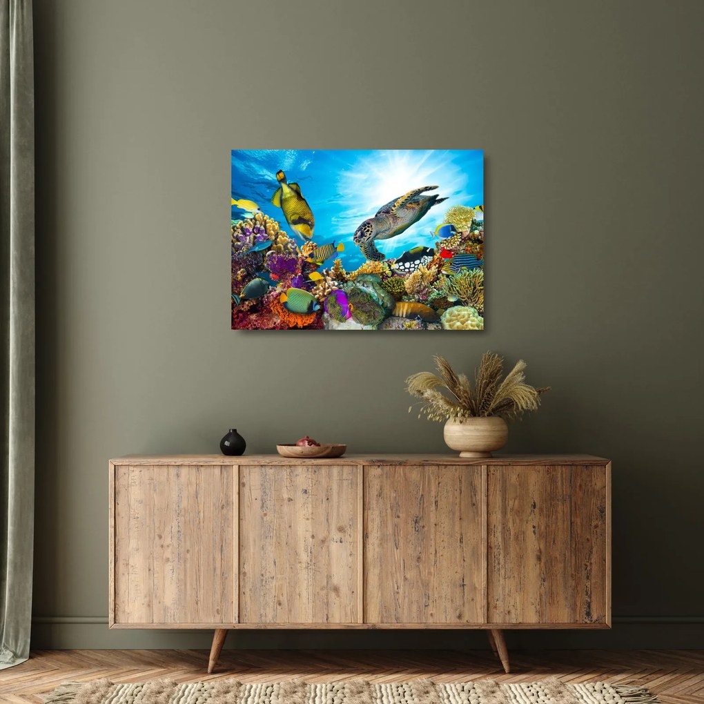 Egy korallzátony képe (üvegen) (70x50 cm)