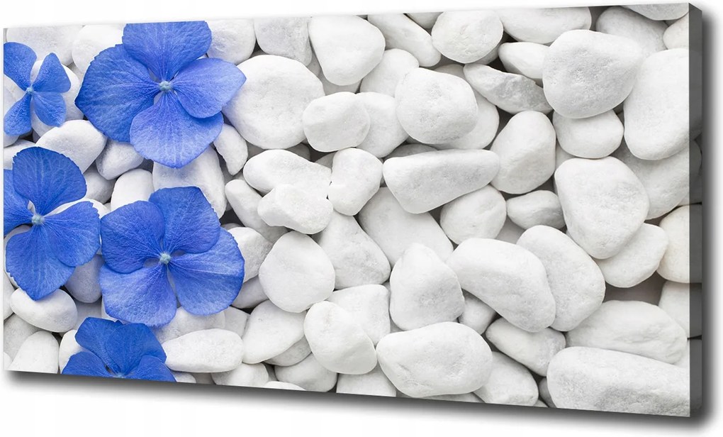 Canvas falikép Hortenzia 100x70 cm