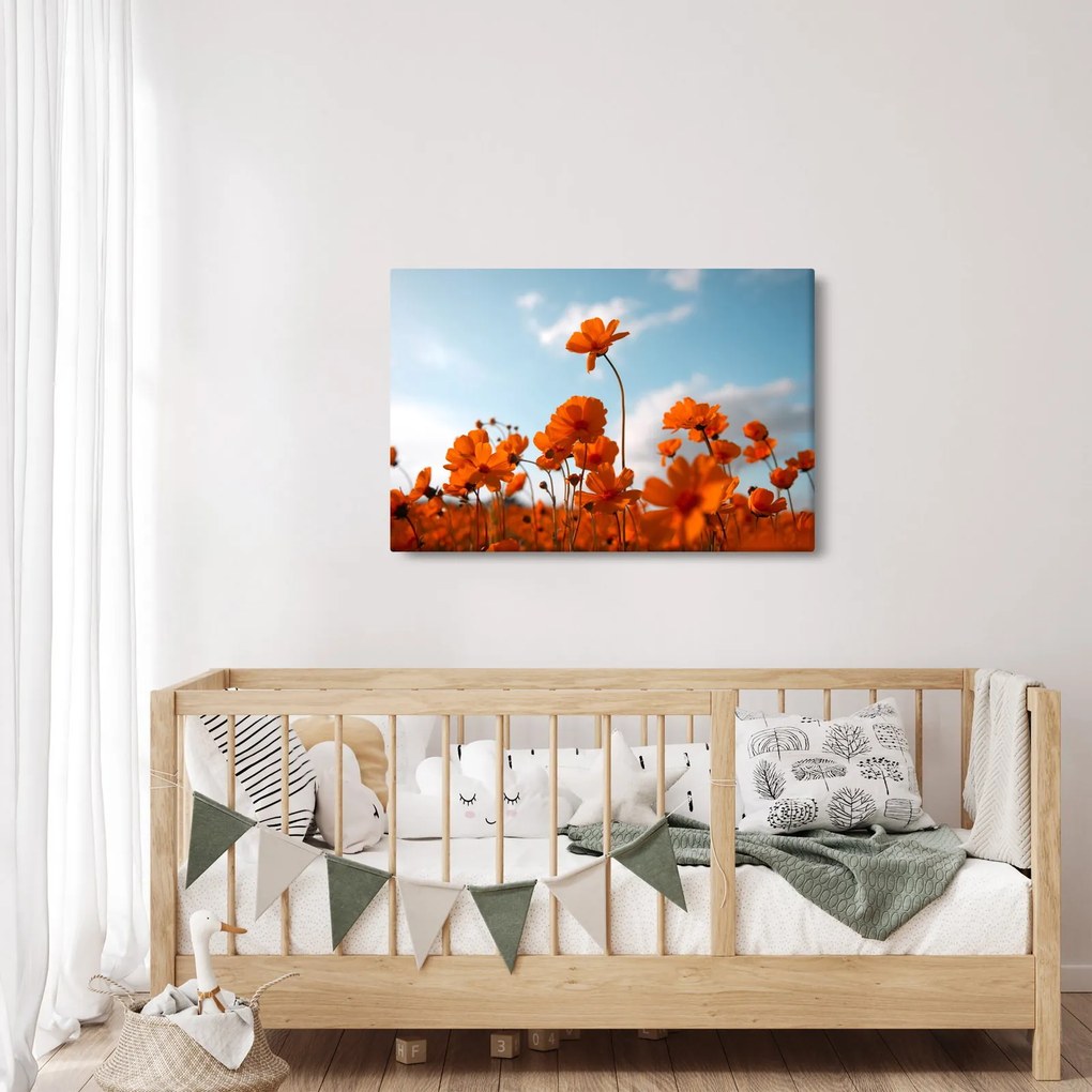 Kép - Réti virágok (90x60 cm)