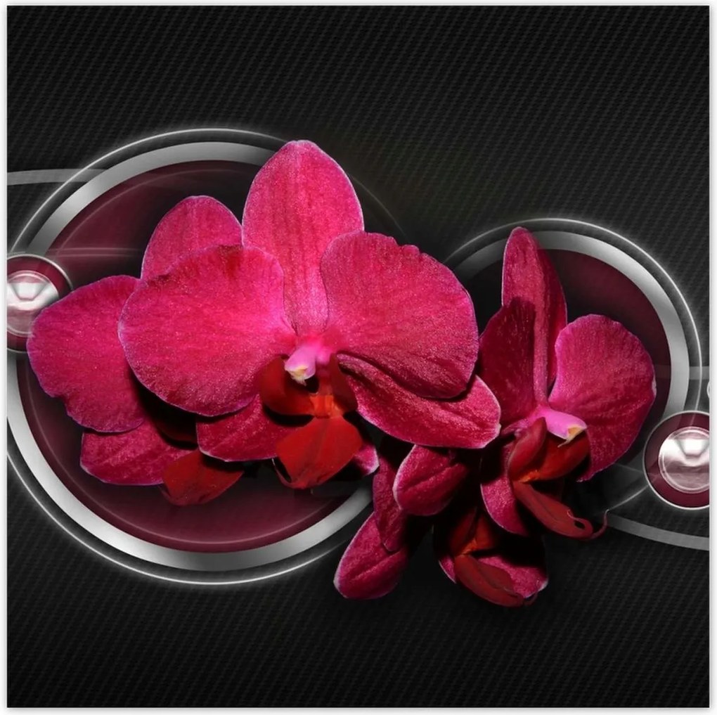 Poszterek 70x70 Orchidea golyókkal