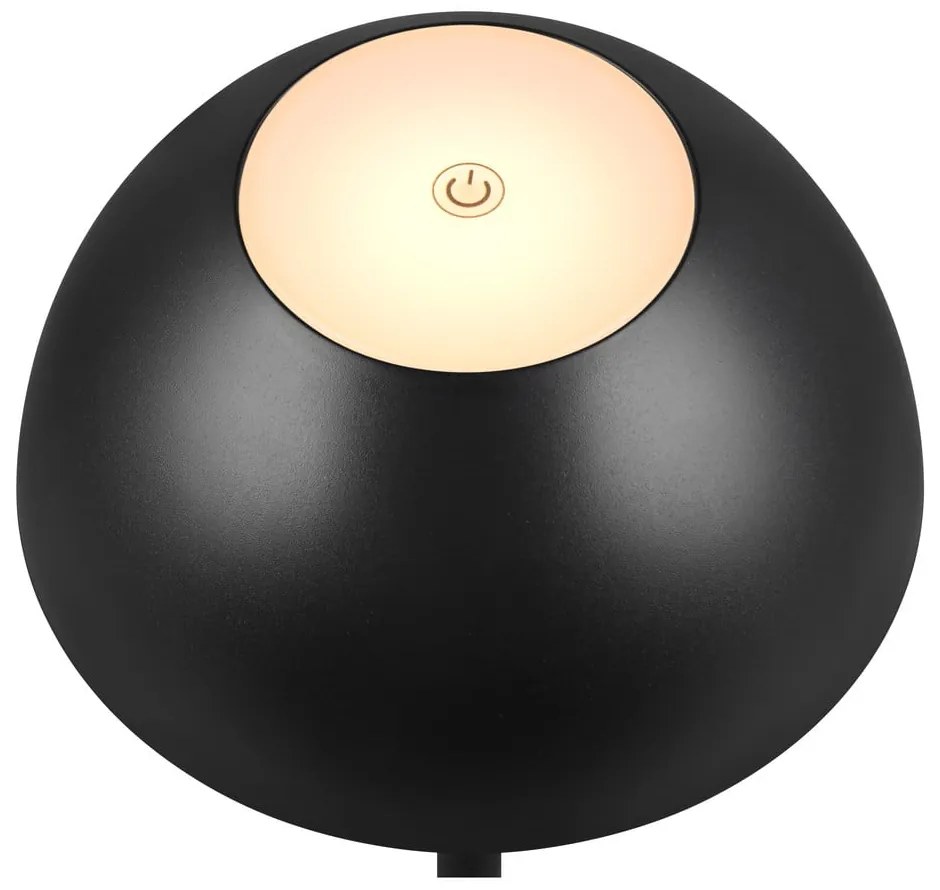 Dimmelhető kültéri lámpa ø 13,5 cm Ricardo – Trio