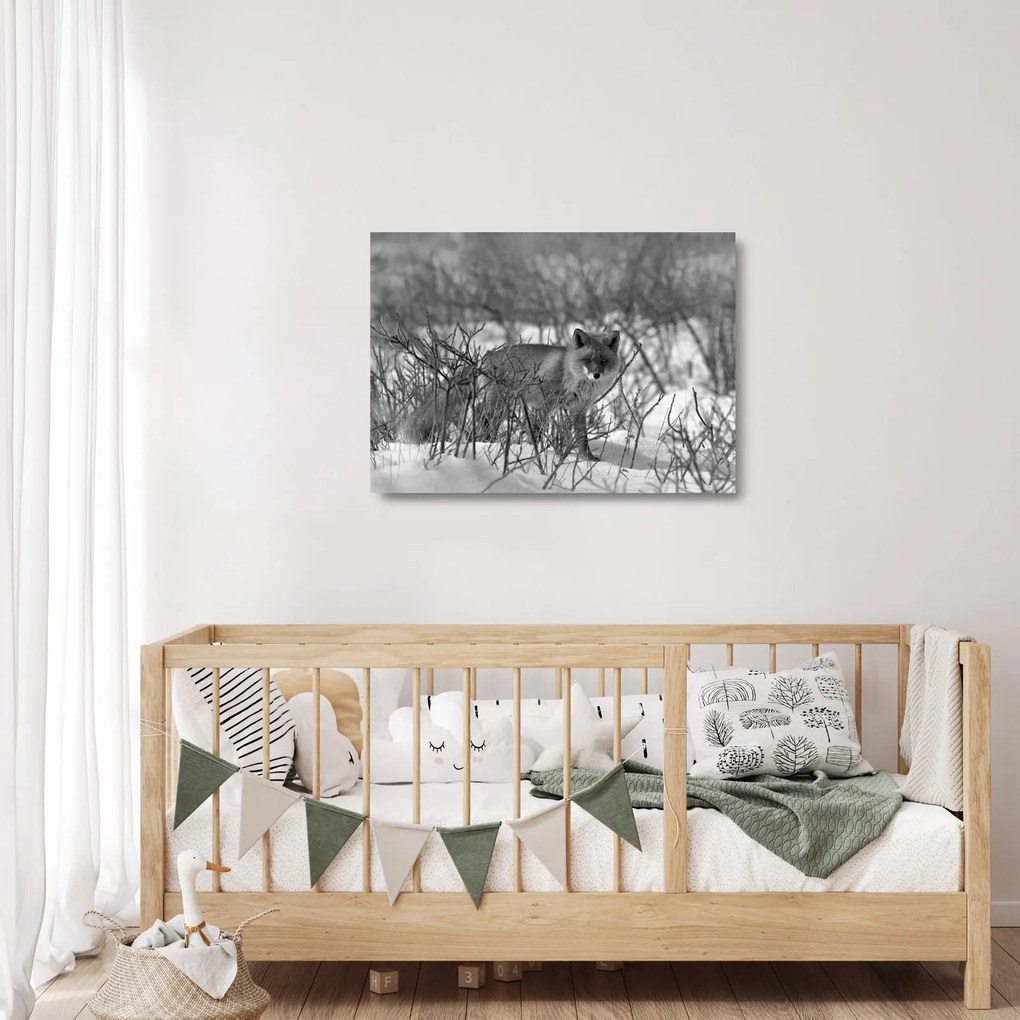 Üveg kép - Róka télen (70x50 cm)