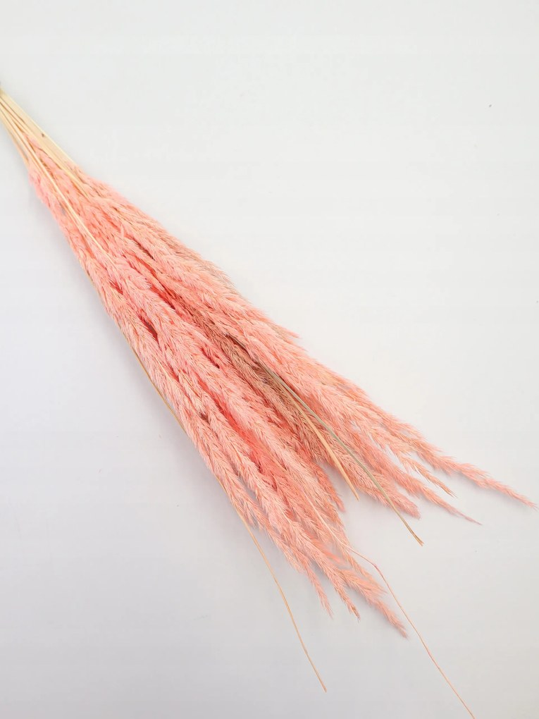 Szárított erdei fű Rózsaszín vázába, száraz virágok, boho fű, 20 darab