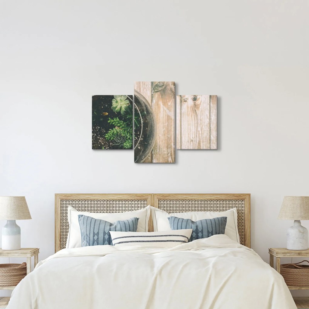 A pozsgás növények képe üvegben (90x60 cm)
