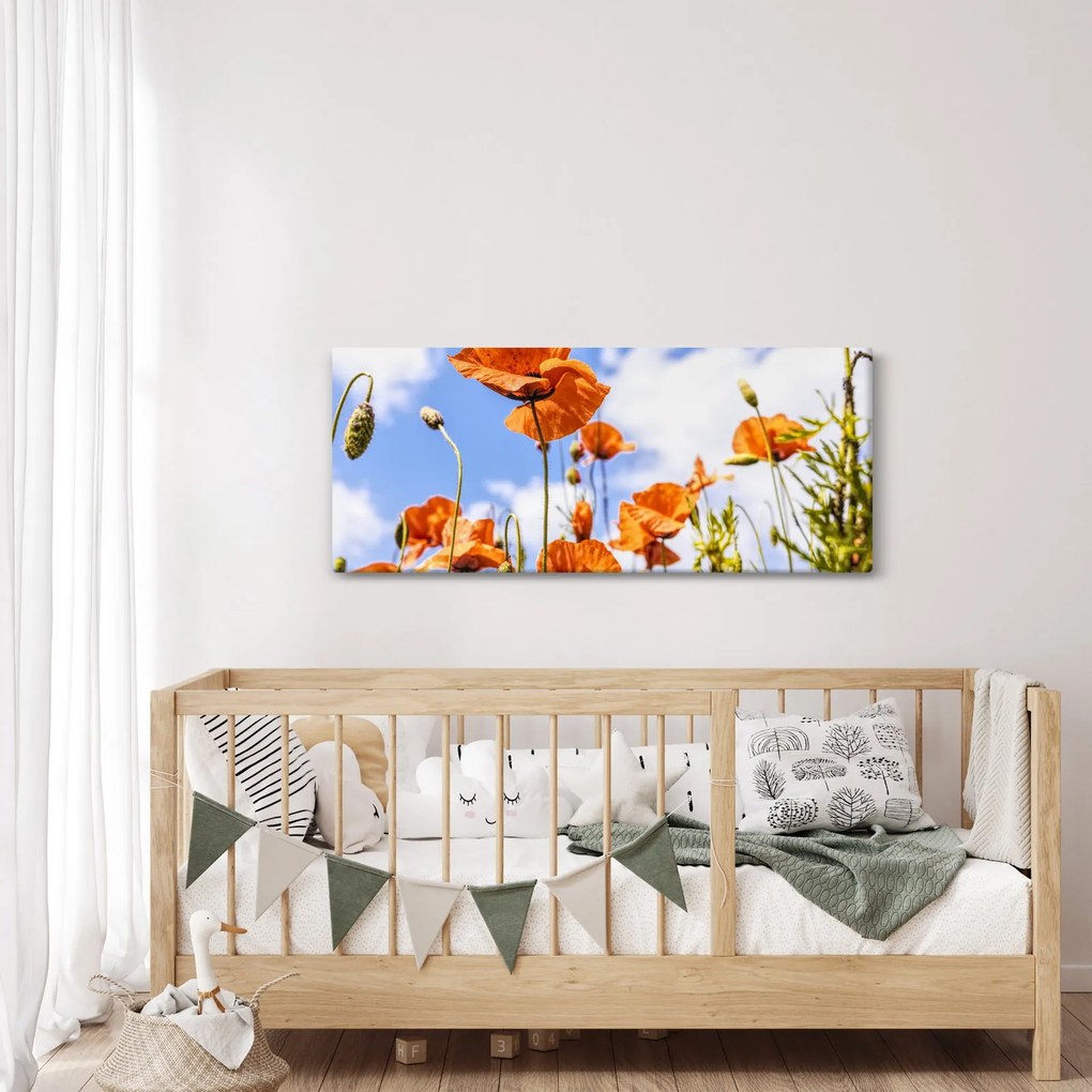 Pipacsok képe (120x50 cm)
