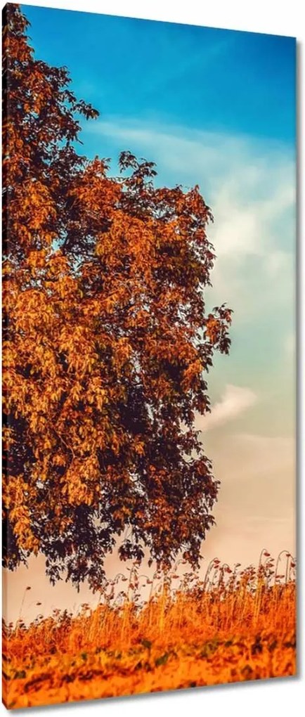 Vászonkép 55x115 Jessiene színek Tájkép