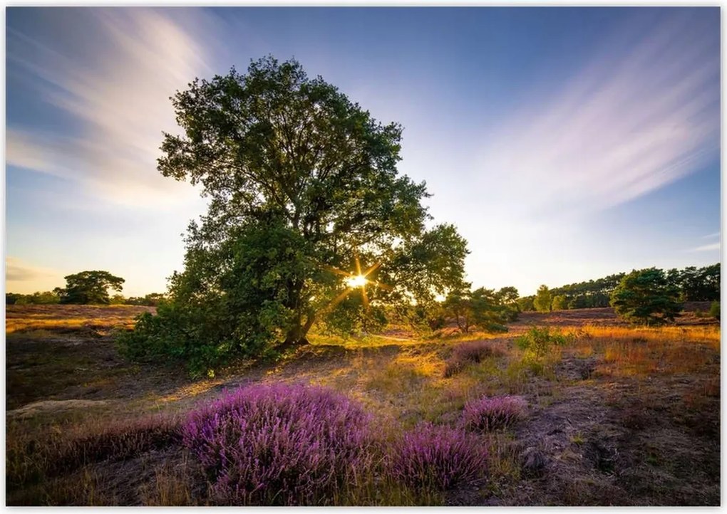 Poszterek 100x70 Tájkép Látvány