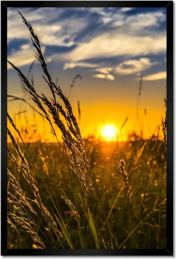 Poszterek keretben 40x60 Naplemente a füvek között