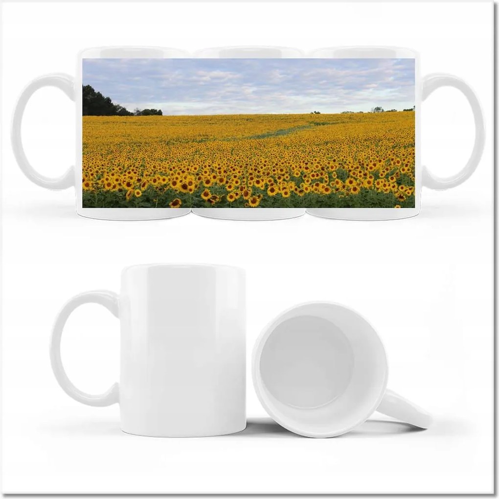 Napraforgó mező mintás bögre