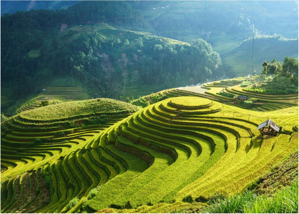 Kép - Rice Terraces koncert (70x50 cm)