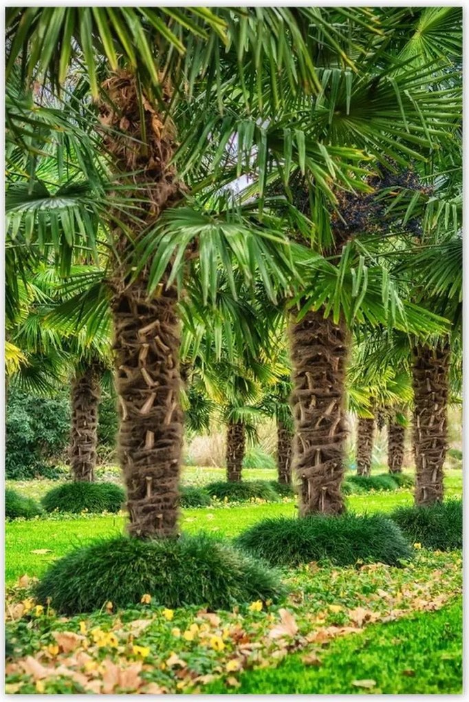 Poszterek 80x120 Tájkép