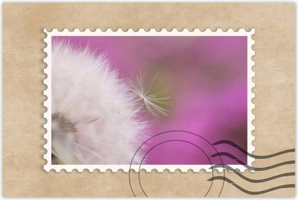 Poszterek 120x80 Pitypang Virág Virágok