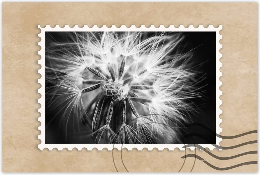 Poszterek 120x80 Pitypang Virág Virágok