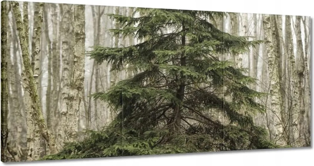 Festmények 180x90 Fa Fák Kilátás