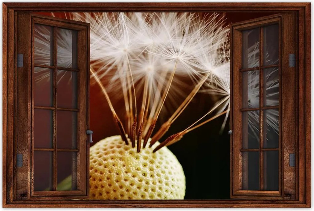 Poszterek 60x40 Pitypang Virág Virágok