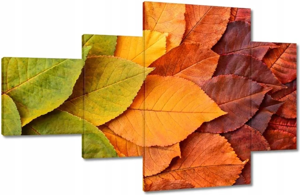 Vászonkép 130x80 Őszi színes levelek Levelek az ősz színeiben