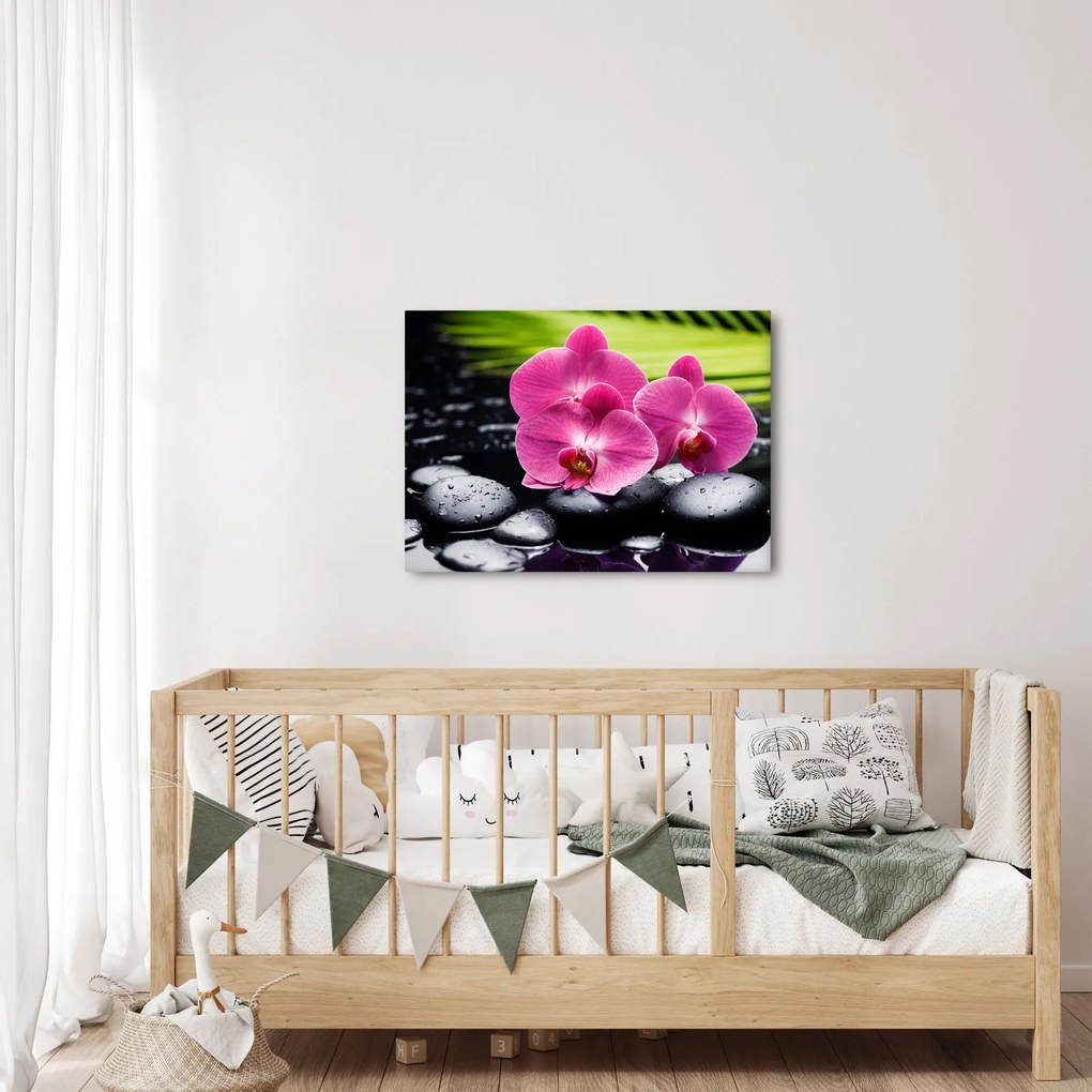 Kép - Rózsaszín orchidea pálmalevéllel (70x50 cm)