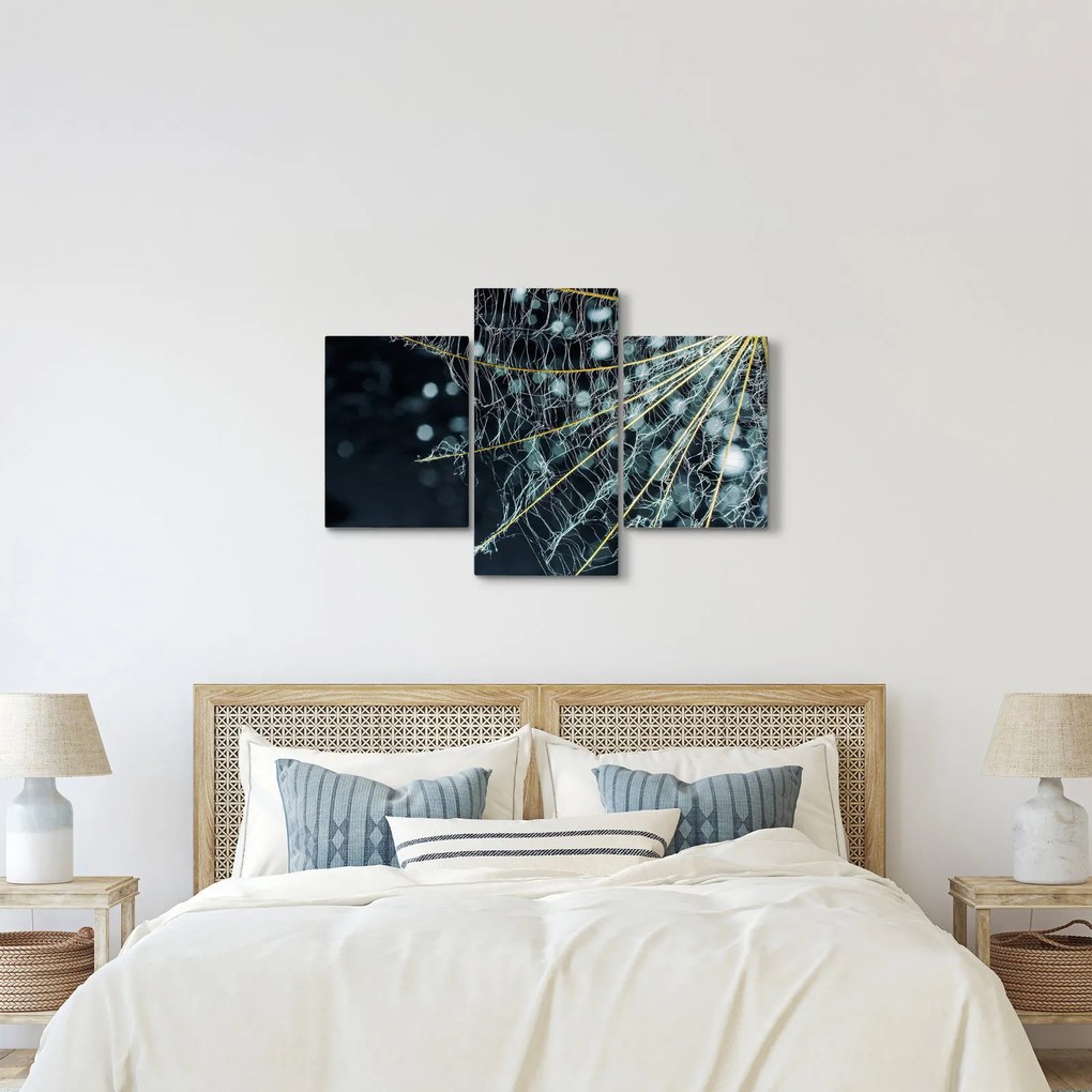 Kép - Virág pókhálóval (90x60 cm)
