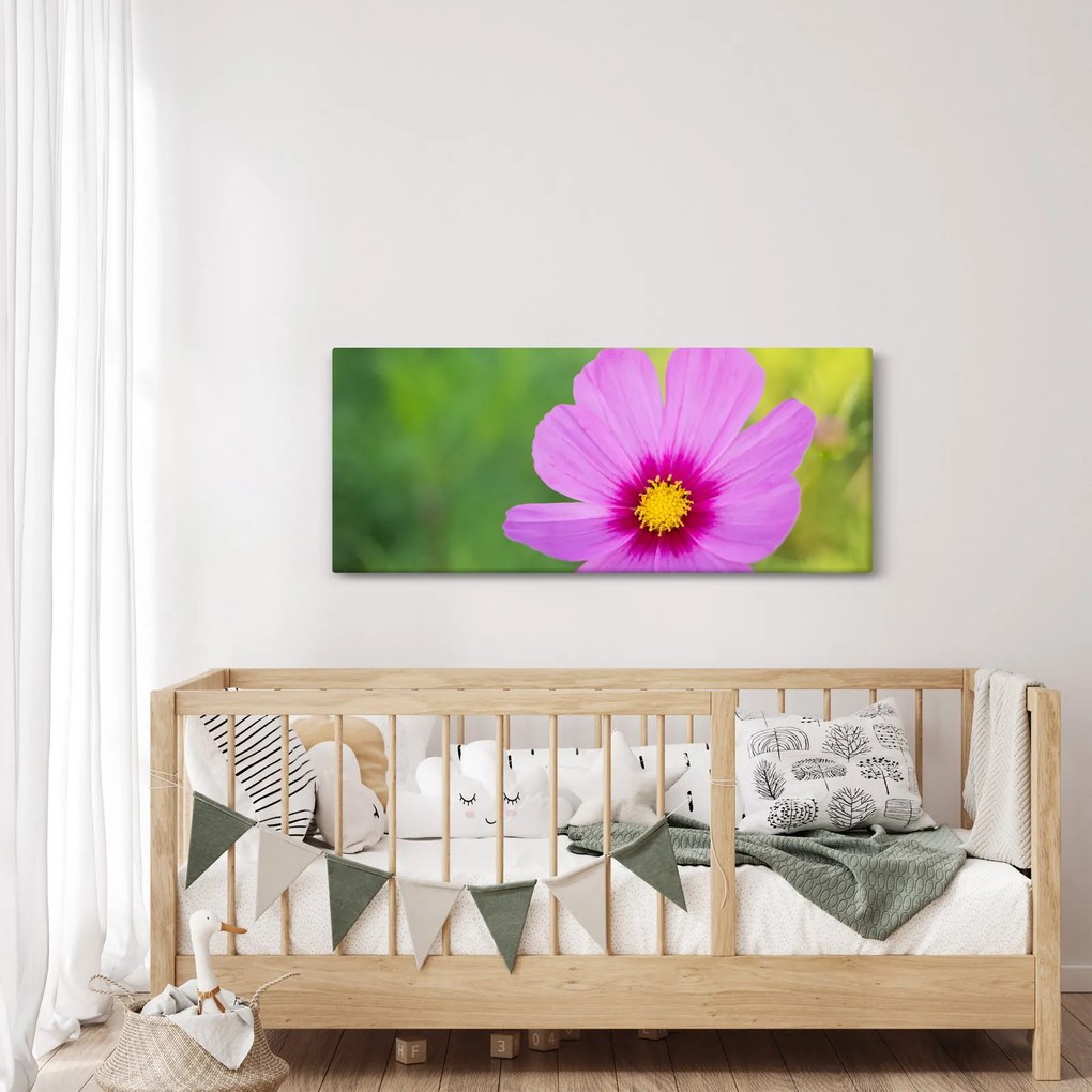 Kép - réti virág (120x50 cm)