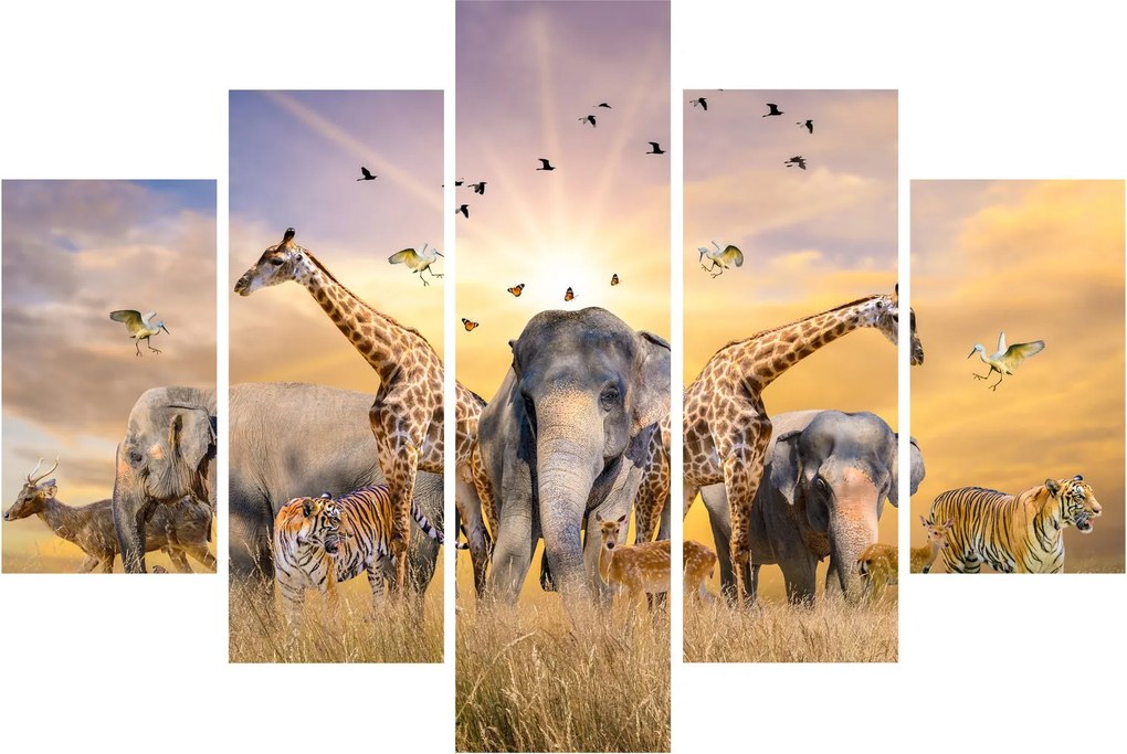Kép - Afrikai állatok (150x105 cm)