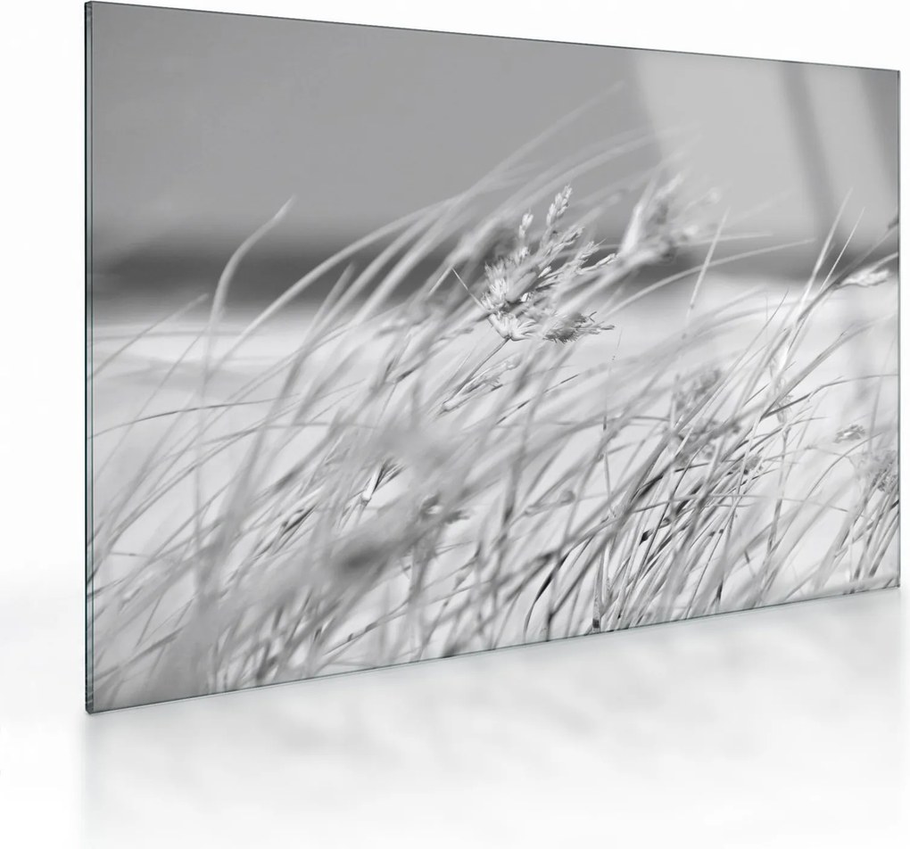 Üveg kép - Strandfű (70x50 cm)