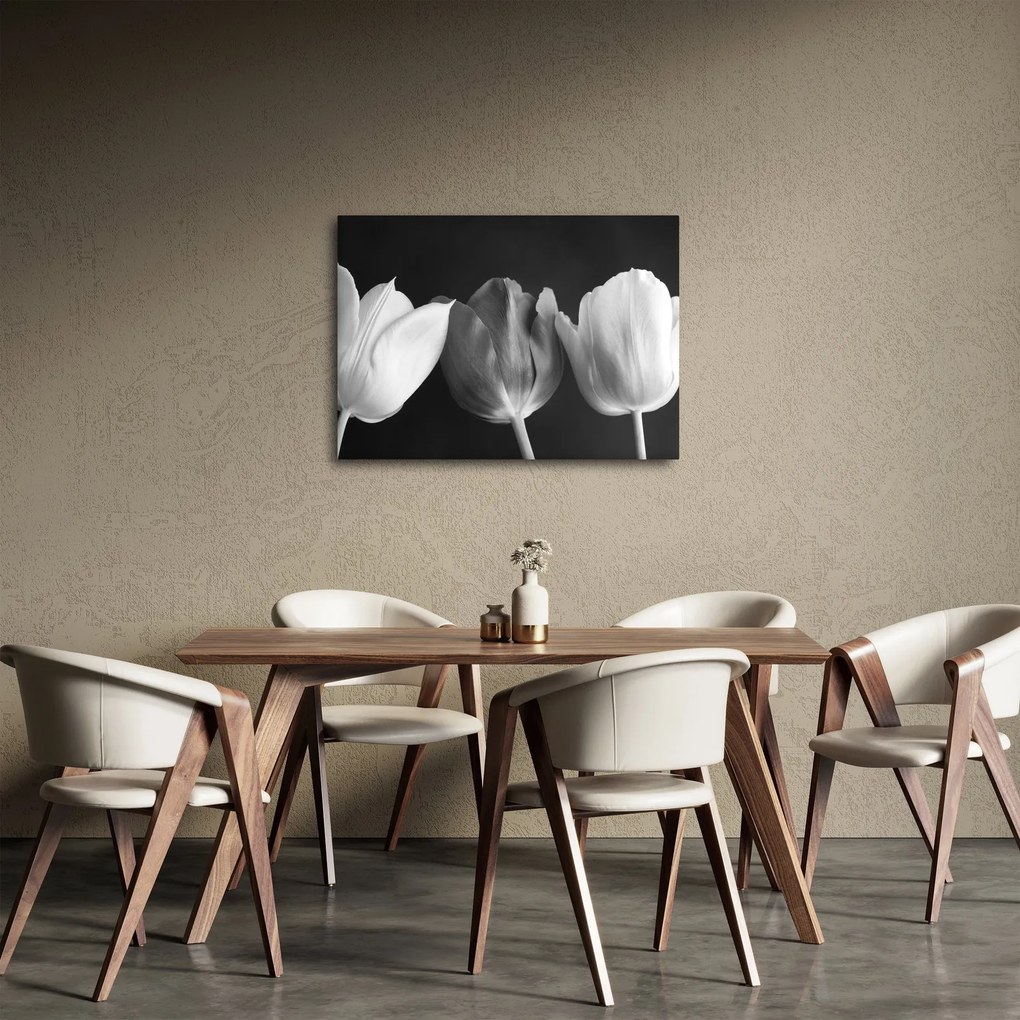 Kép - fekete-fehér tulipán virág (70x50 cm)