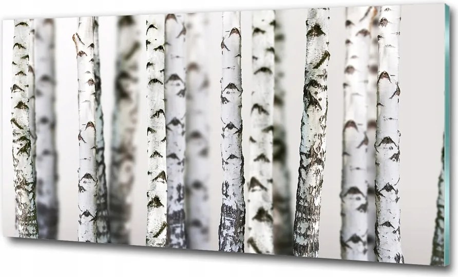 Fotó kép fotó edzett üveg Fű 100x70